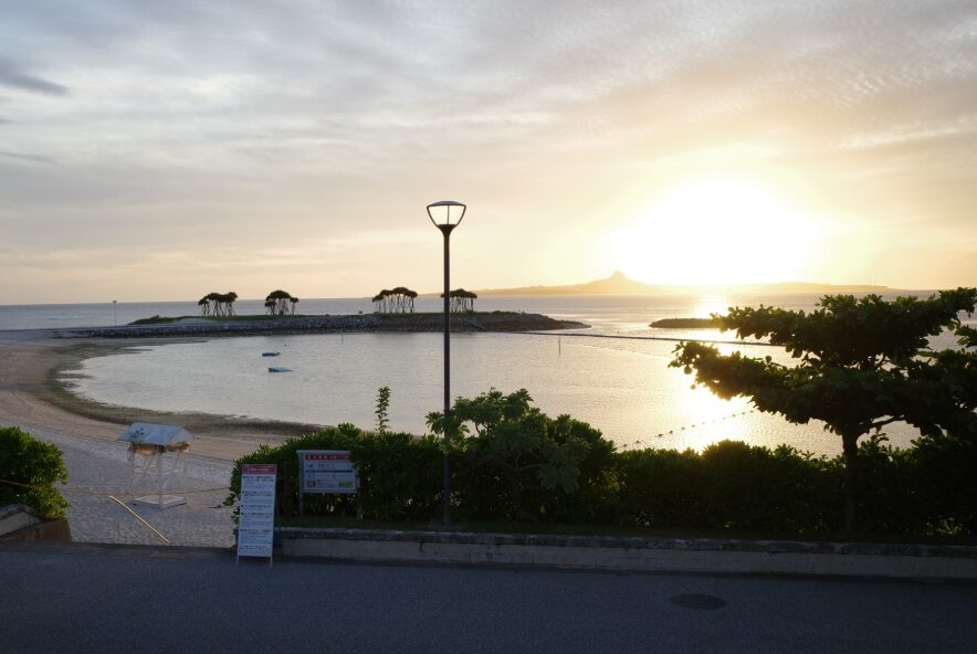 初夢マグネット